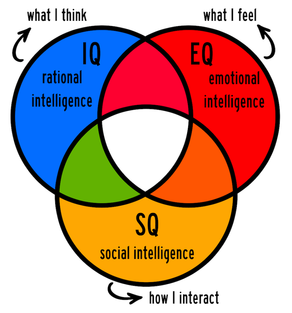 Different kinds of human intelligence